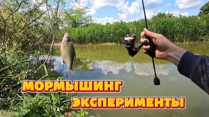 Мормышинг эксперименты.