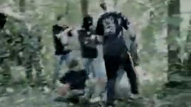 тренировки смотреть онлайн