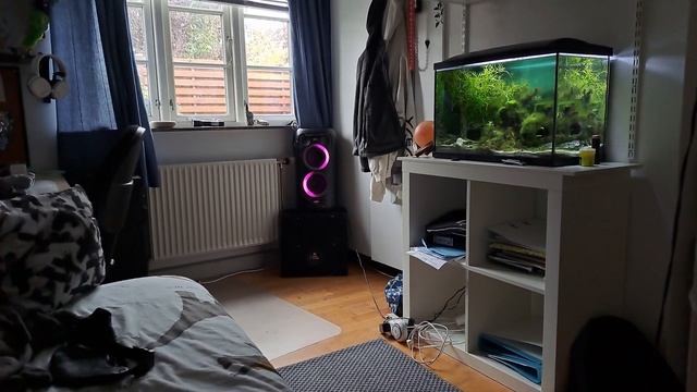 JBL PARTYBOX 100 BASS TEST🔥