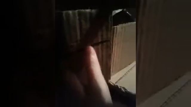 Повторный обзор на мой КСК!😊😊😊 смотреть онлайн