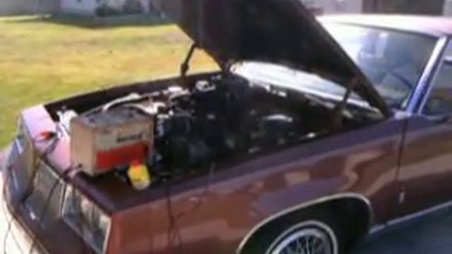 She came alive! July 31st 2010!!! смотреть онлайн