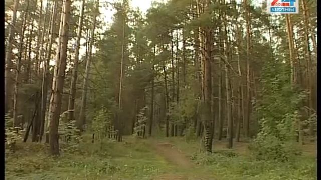 Космос рядом: помощь НАСА челнинским следователям смотреть онлайн