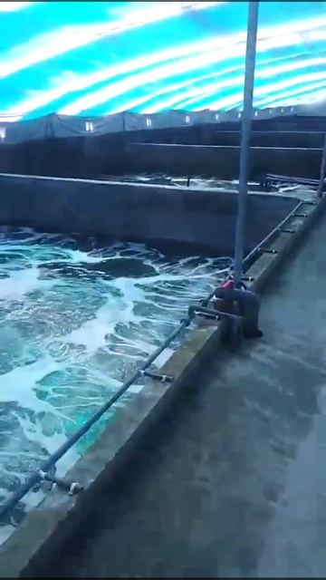 ECOwater oxygenate solution смотреть онлайн