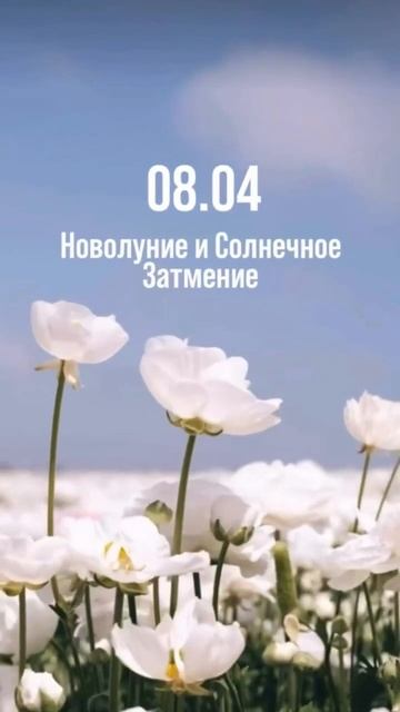 апрель-месяц обнуления