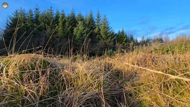 АСМР ГОТОВКА ЕДЫ НА ПРИРОДЕ смотреть онлайн