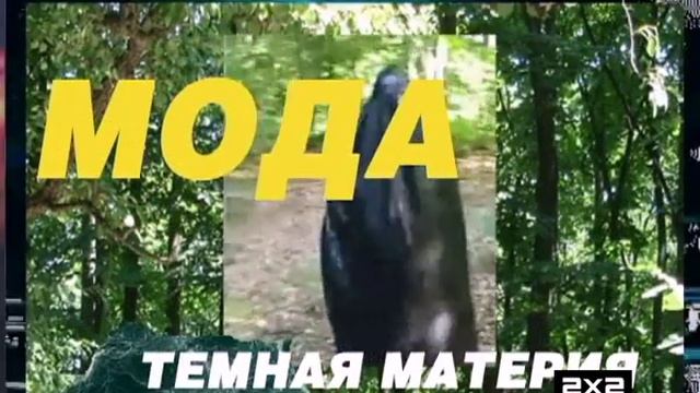 Секреты звезд