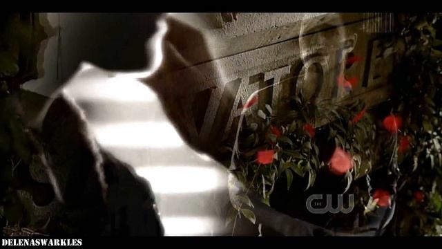Damon + Stefan - We're holding on and letting go смотреть онлайн