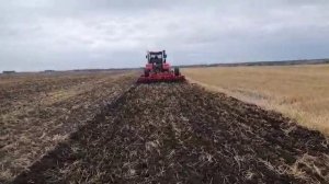 Амкодор КДЛ-4 аналог Horsch Tiger 4 MT