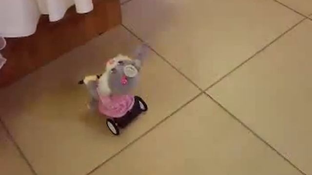 Заяц велогонщик смотреть онлайн