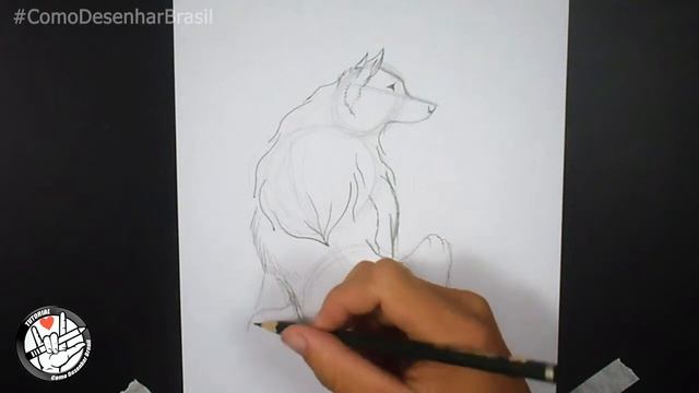how to draw a wolf Step by Step смотреть онлайн