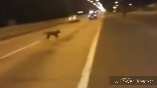 3 телепортации снятых на камеру #2 смотреть онлайн