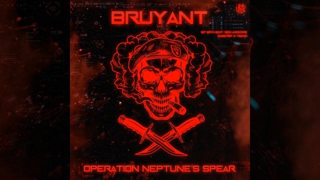 Operation Neptune's Spear