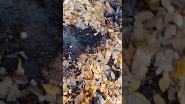 зимний коп по французски...ХP Deus смотреть онлайн