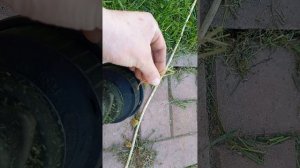 Стоит ли замачивать леску для тримера