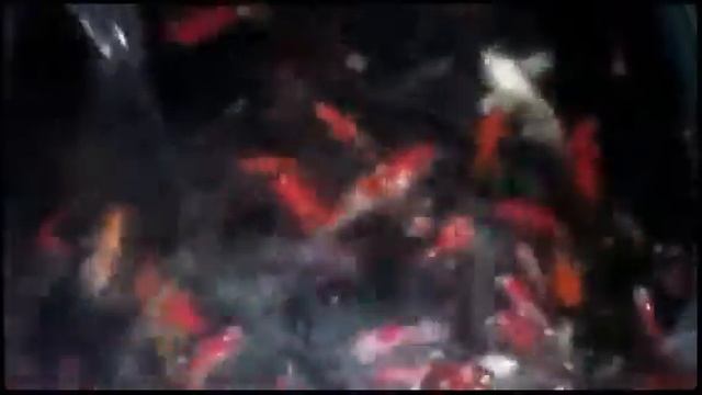 Koi/Koi Silver/Metalic/Komet fish (Created with @Magisto) смотреть онлайн