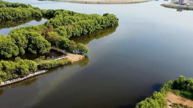 6 июня Мощное Новолуние исполнит Все Мечты. Лунный календарь смотреть онлайн