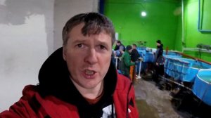 Получение черной икры
