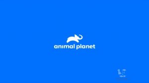 Animal Planet (2018/2019)