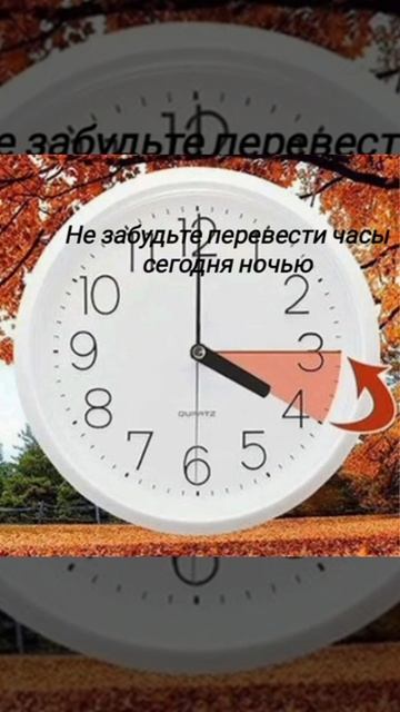 Не забудьте перевести часы ночью 29.10.23 на 1 час назад #часы #перевод #зимнее #время смотреть онлайн