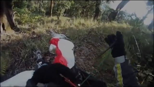 Невероятное видео! Орел против параплана смотреть онлайн