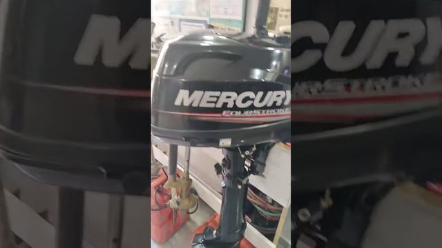 MERCURY 6 HP DENİZ MOTORU KRONİK SORUN... смотреть онлайн
