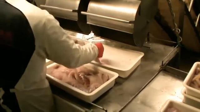 How to Catch Fish in Iceland's Waters Processing 1000 Tons Fish Pure Fishing in the Sea смотреть онлайн