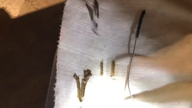 1968 Mercury 110 9.8 HP Pee Hole Location (pisser) смотреть онлайн