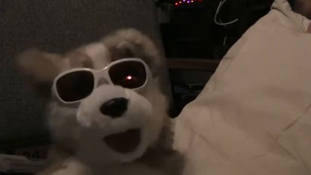 Furpet Network - Willy Wonka Pure Imagination (test video) смотреть онлайн