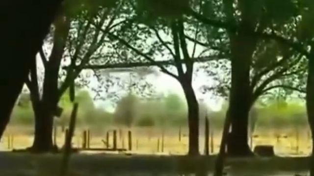 НЛО - ОБЕКТА се вдига от гората смотреть онлайн