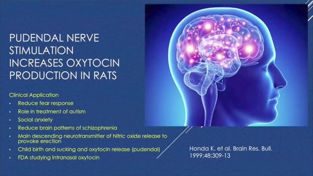 Erectile Dysfunction Physiology Lecture смотреть онлайн