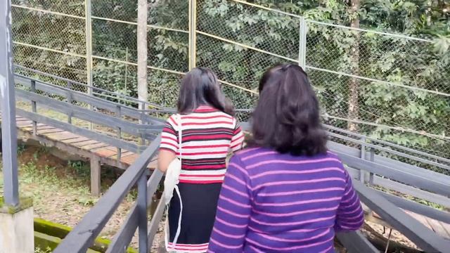 A trip to Nilgiris || Wild planet jungle resort || DeepikaDas смотреть онлайн
