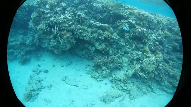 Marsa Alam Brayka Bay Resort 27.8.217 смотреть онлайн