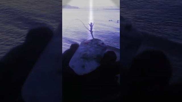 Практика отпускания