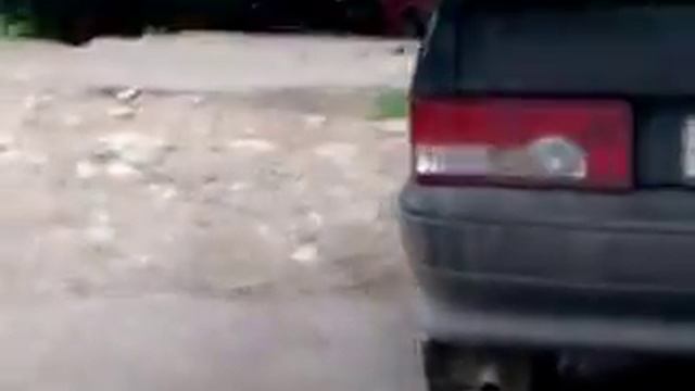 Cats attack dog(Кошки атакуют собаку) смотреть онлайн