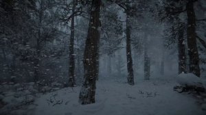 Звуки ветра в зимнем лесу звучат для спокойного сна и отдыха