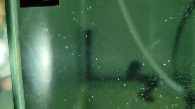 Fish Room Aquarium Rack! смотреть онлайн