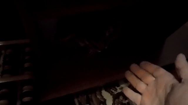 Кот Марс. Высказался, подрался и пожрал. смотреть онлайн