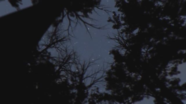 Jeff Bridges & Keefus Ciancia - It's In Every One Of Us (Late Night Tales: David Holmes)