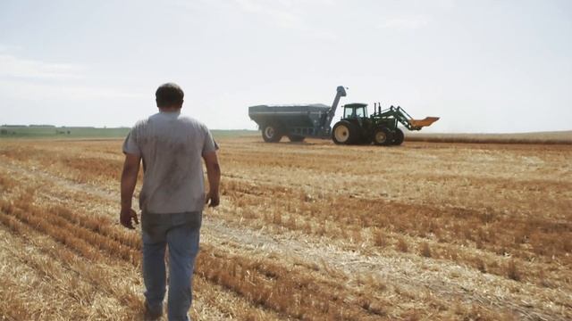 Grow Smart with Wheat Disease Control from BASF смотреть онлайн