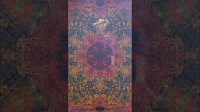 Weight of the World PT I - Lyric Video - Mary Scholz смотреть онлайн