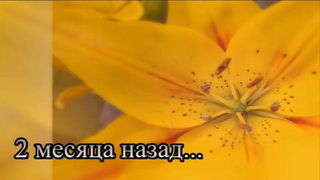 Жених на час 1 Серия смотреть онлайн