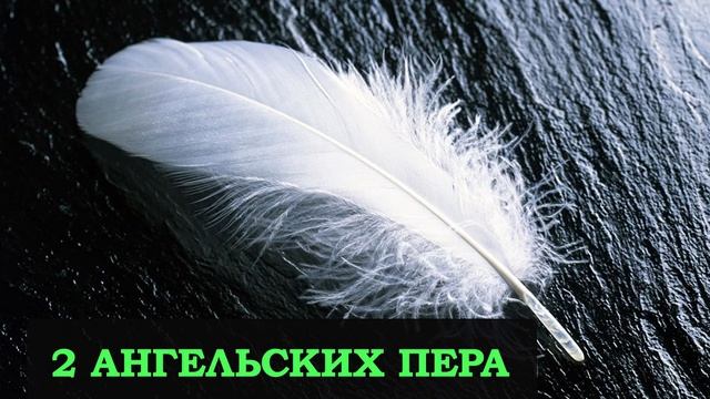 Свидетельство "2 Ангельских пера во время свидетельства об Иисусе" (8 мая 2020) . смотреть онлайн