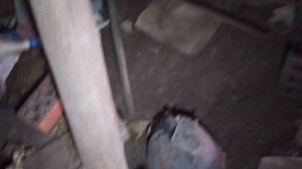 КОП на ЧЕРДАКЕ Путешествие по диким местам