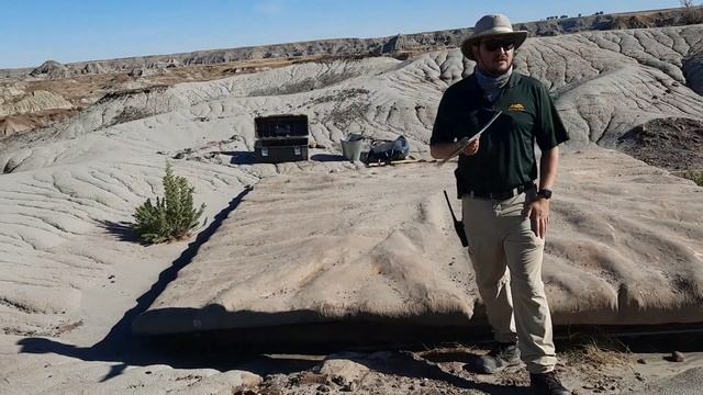 Centrosaurus Bonebed Hike Tour 2020 - Dinosaur Provincial Park, Alberta, Canada