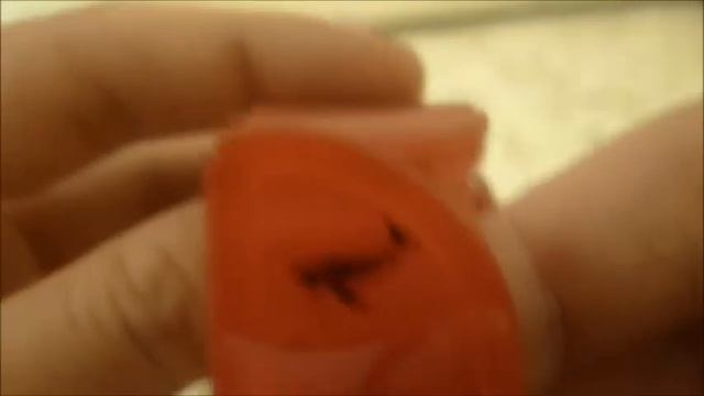 Casio G-Shock - Dolphin & Whale, Eco Research Network 2003 - Frogman - Red Jelly [GW-203K-4JR] смотреть онлайн