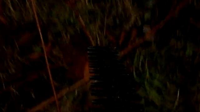 Hedge Cutting Doom смотреть онлайн