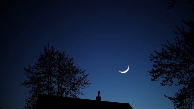 Venus 13% Crescent - Nikon P1000 & Canon EOS R Cameras смотреть онлайн