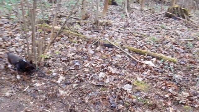 София   в Тучково # майские 2020#карантин