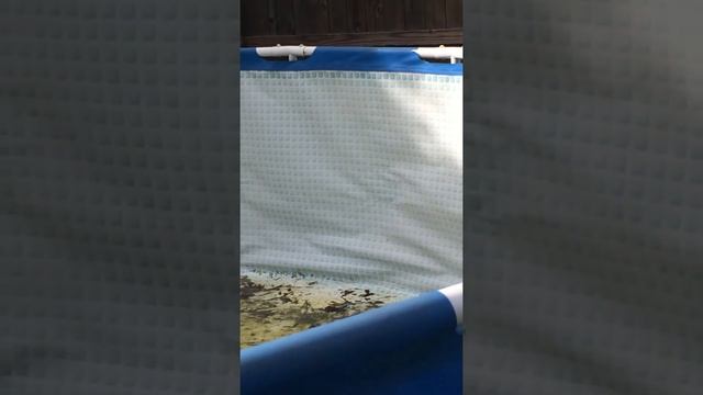 Draining an Intex pool with a sump pump. смотреть онлайн