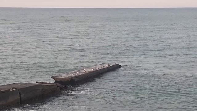 Шум моря, красивое небо, чудеса планеты смотреть онлайн